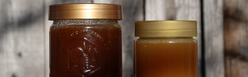 Honig vom Imker ist besonders lecker und sogar richtig gesund, bk