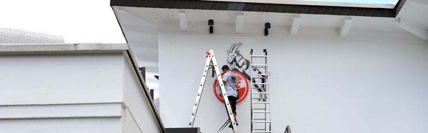 Mann auf Leiter unter dem Geißbock-Symbol des 1. FC Köln am Stadion