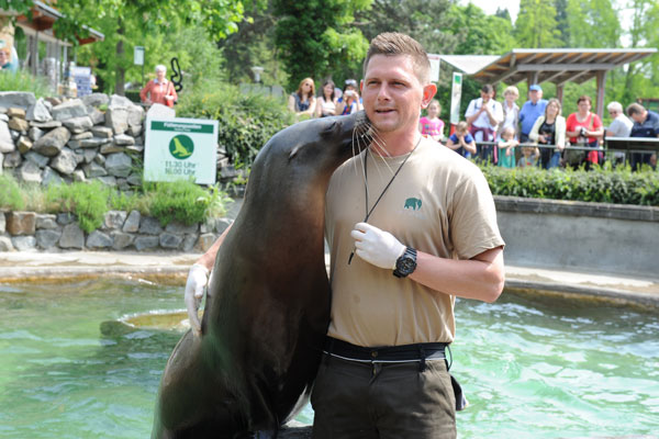 Seehund knutscht den Pfleger im Kölner Zoo, Foto