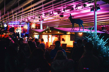 Weihnachtsmarkt im Kölner Stadtgarten Weihnachtsmarkt im Kölner Stadtgarten